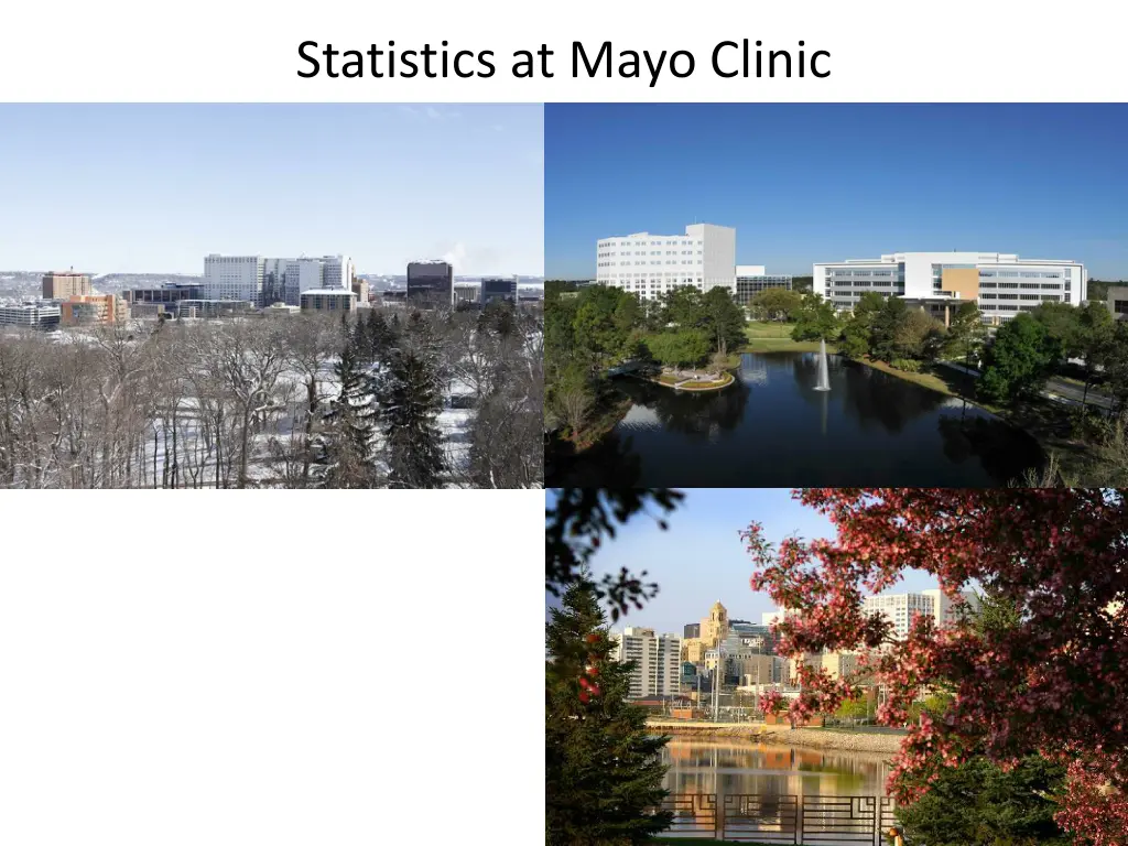 statistics at mayo clinic 2