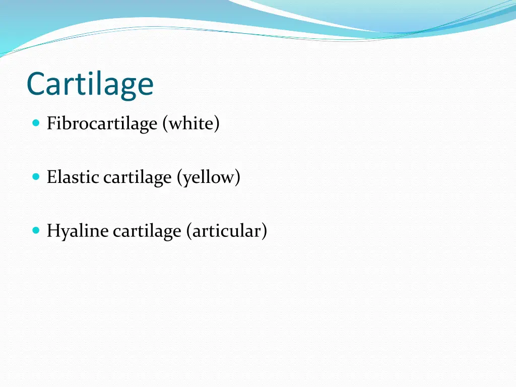 cartilage