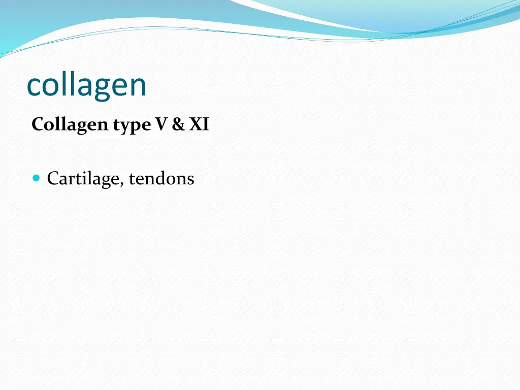 collagen 4