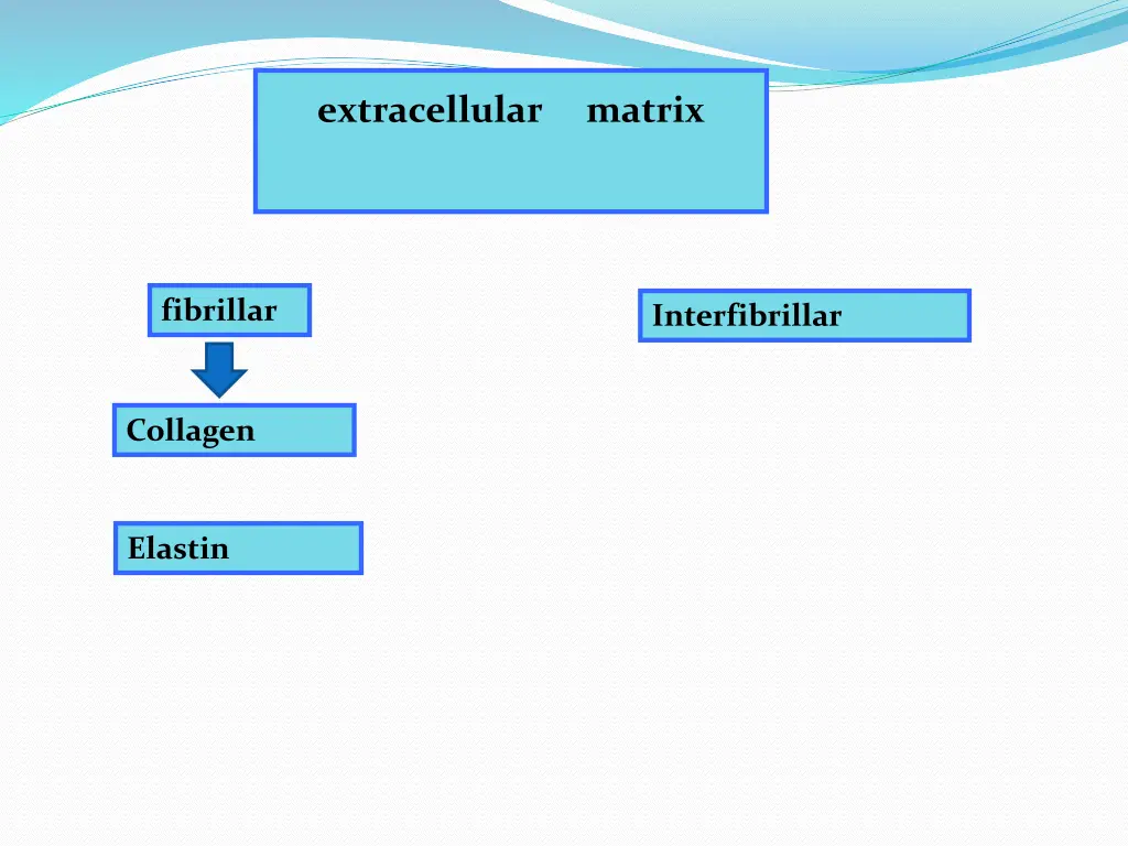 extracellular matrix 1