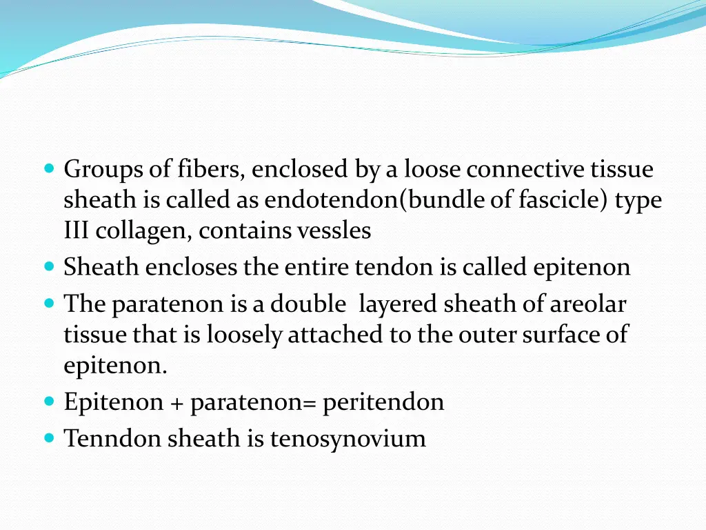 groups of fibers enclosed by a loose connective