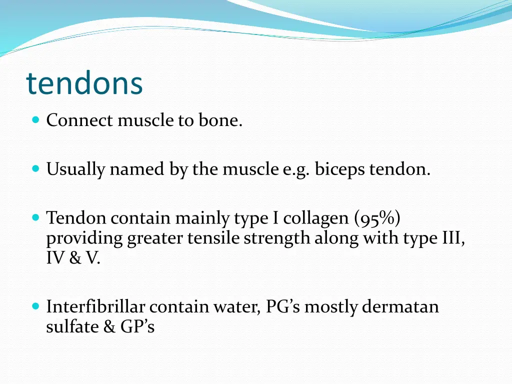 tendons connect muscle to bone