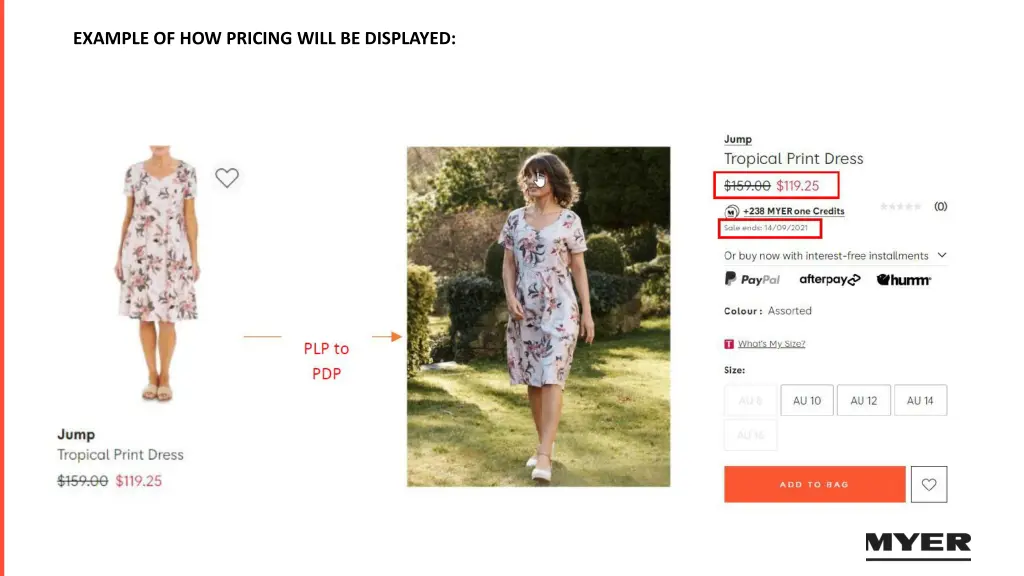 example of how pricing will be displayed