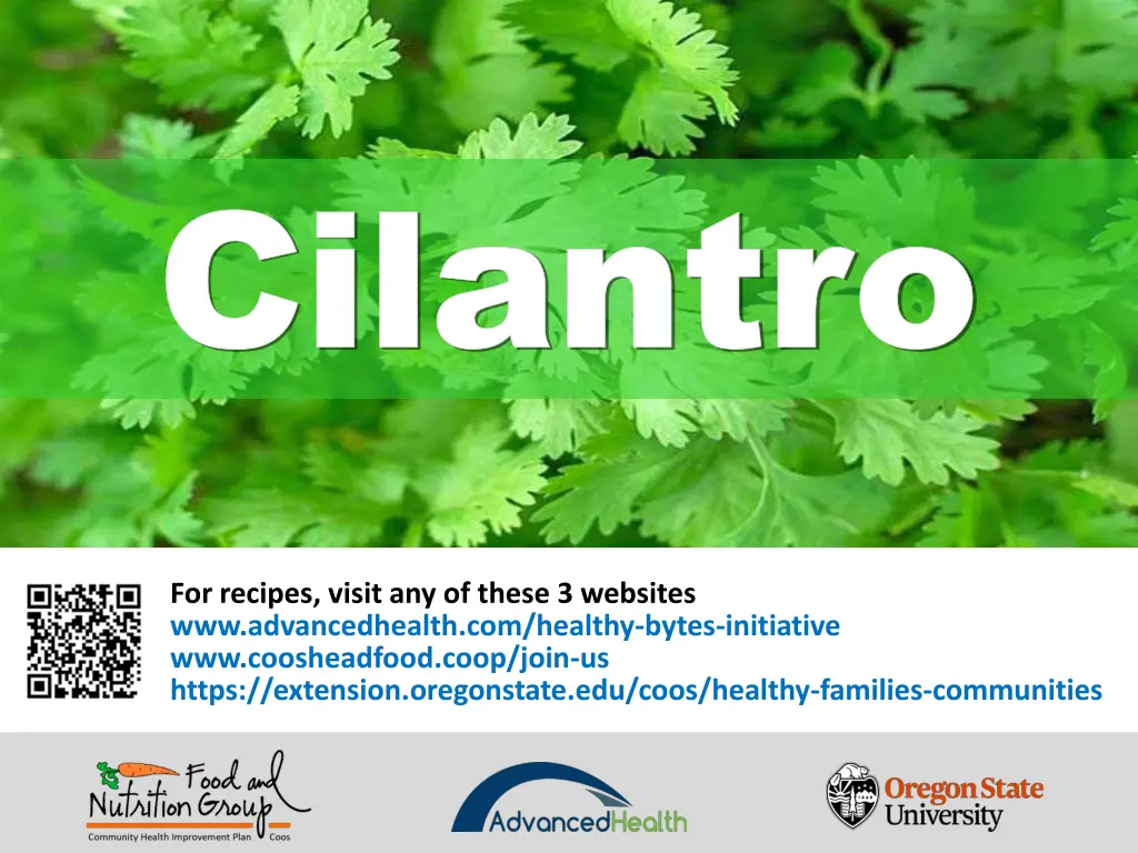cilantro cilantro 9