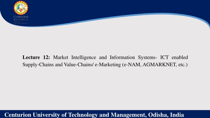 lecture 12 market intelligence and information