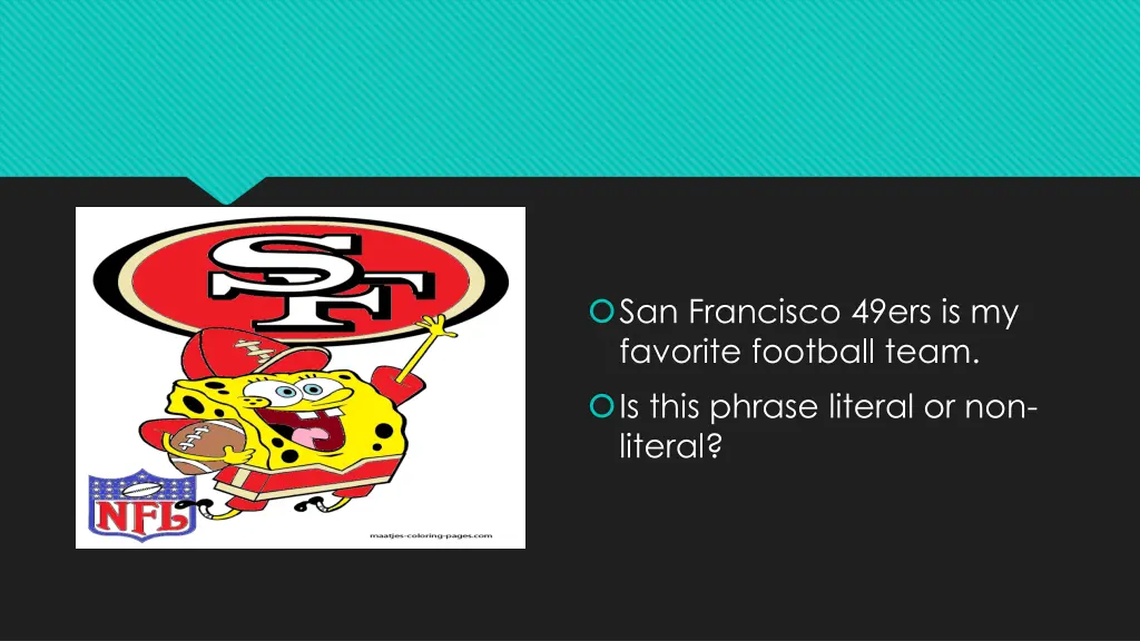 san francisco 49ers is my favorite football team