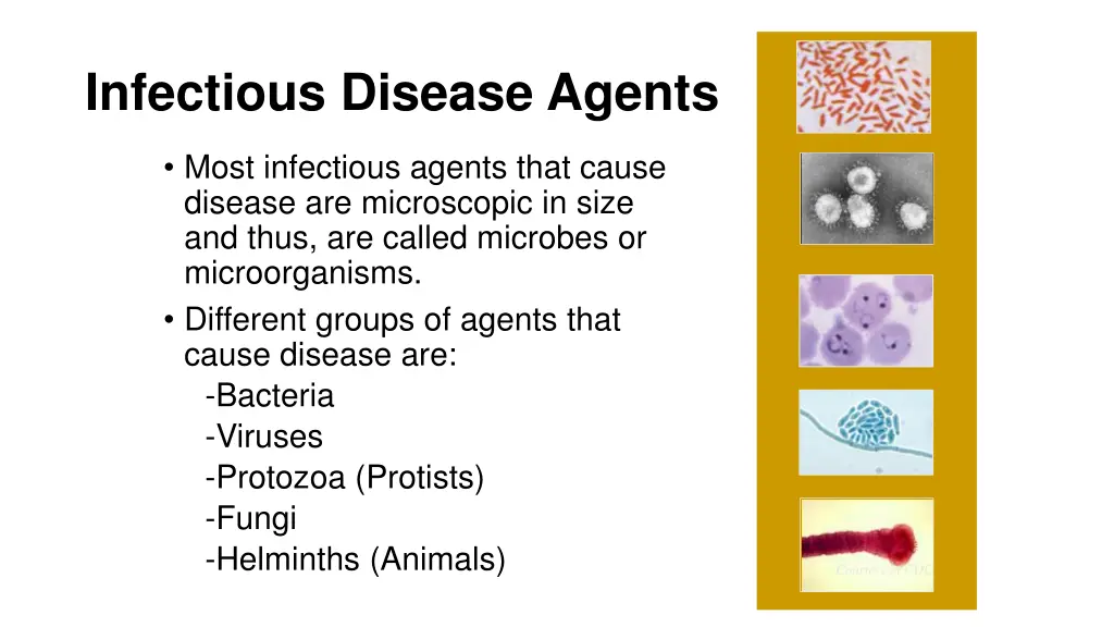 infectious disease agents