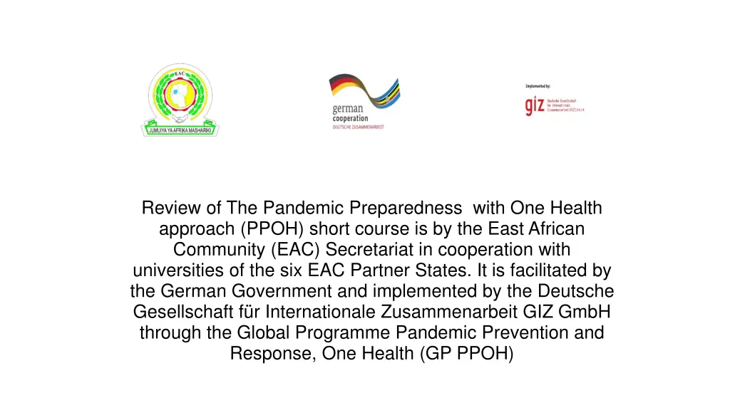 review of the pandemic preparedness with