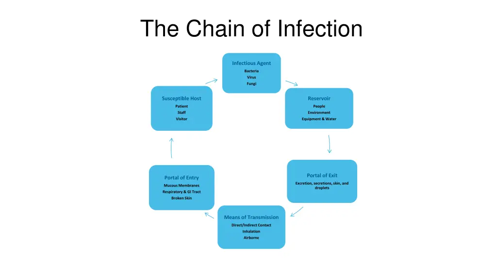 the chain of infection