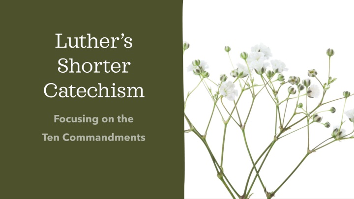luther s shorter catechism