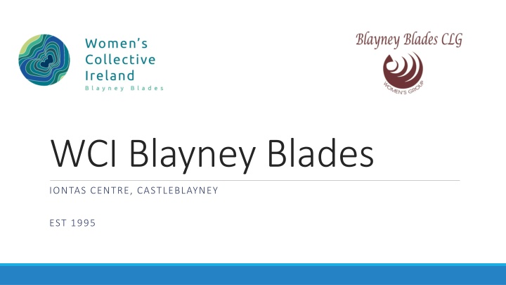 wci blayney blades