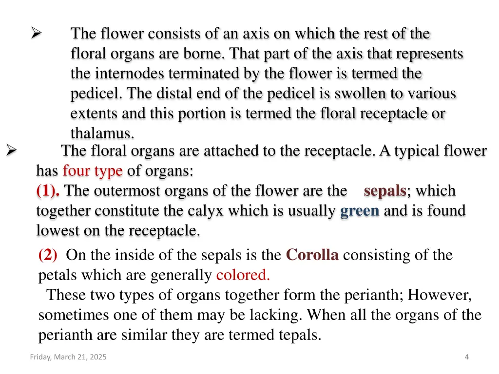 the flower consists of an axis on which the rest