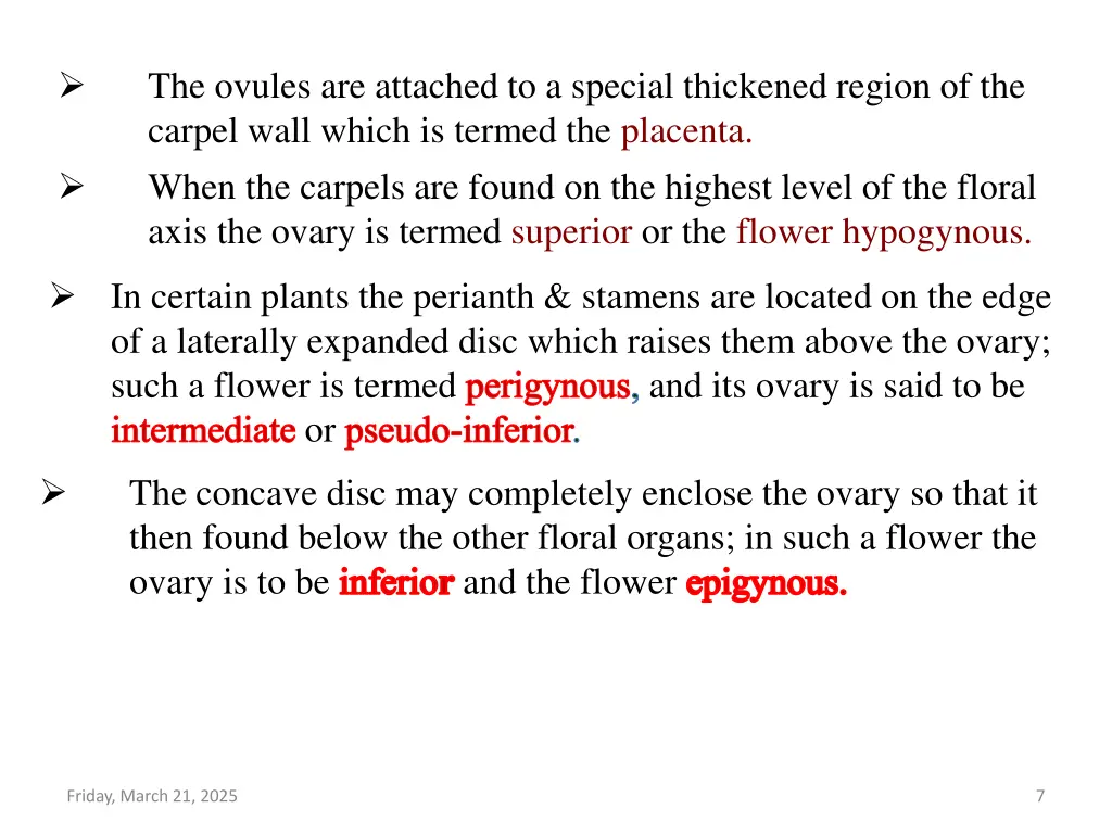 the ovules are attached to a special thickened