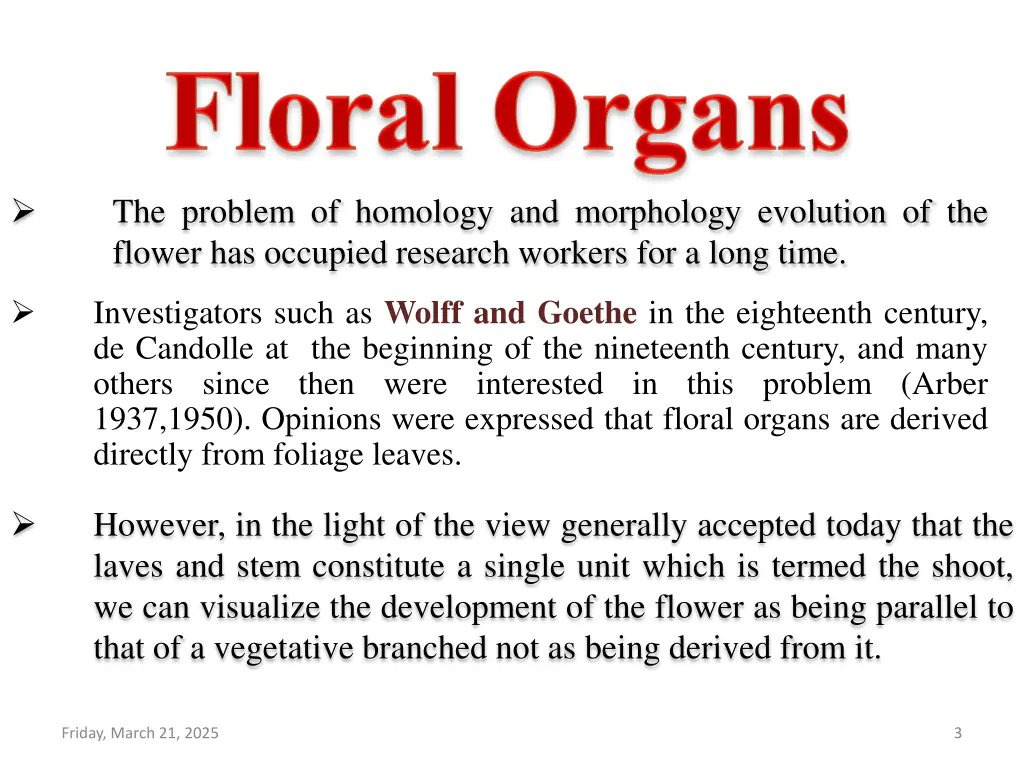 the problem of homology and morphology evolution