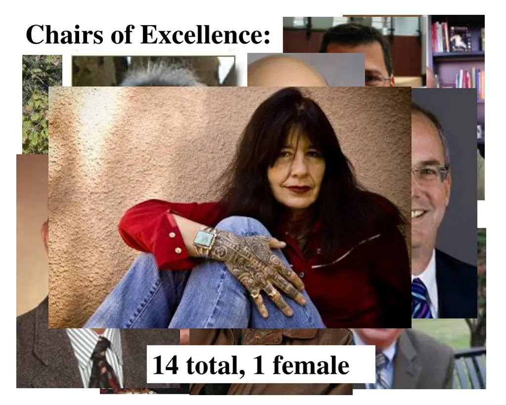 chairs of excellence