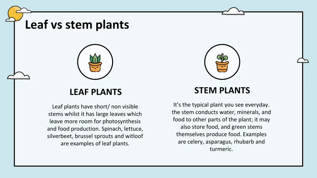 leaf vs stem plants