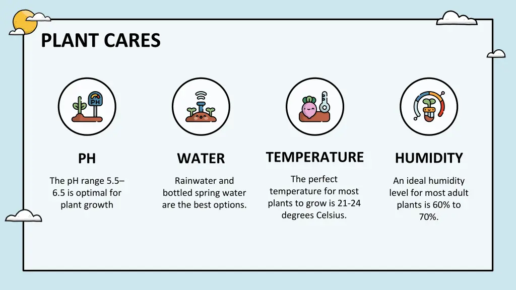 plant cares