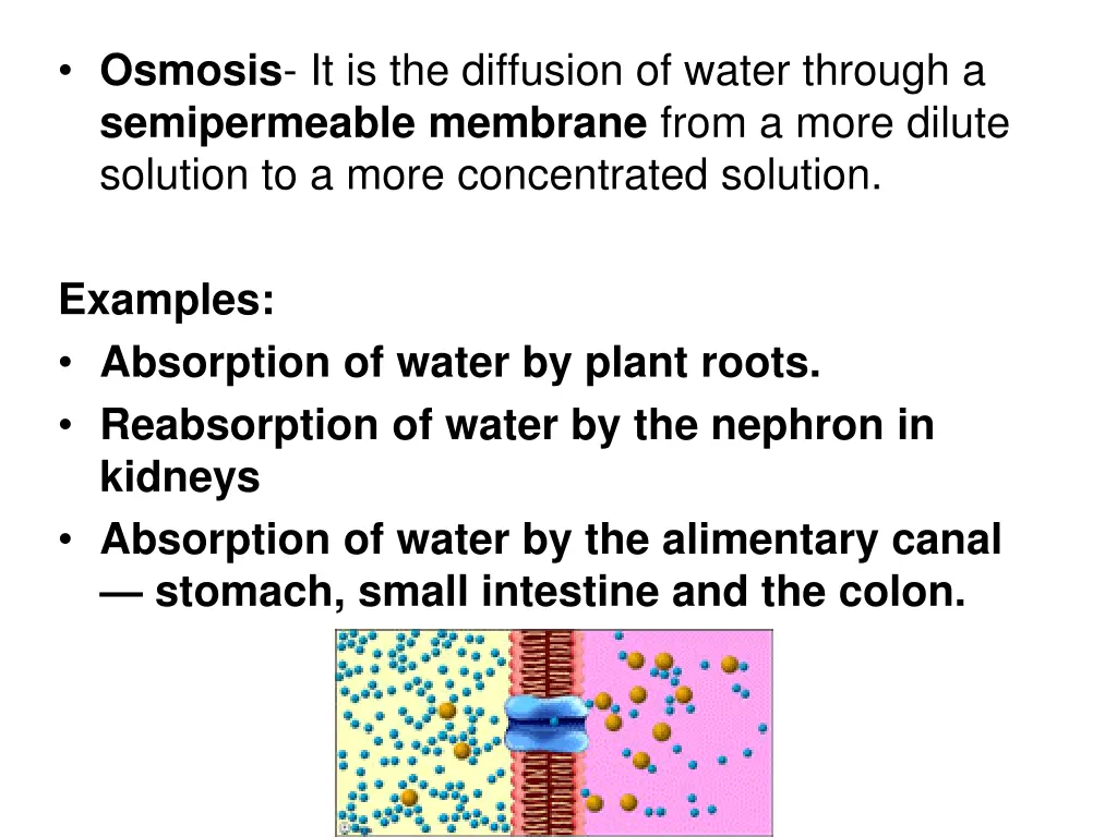 osmosis it is the diffusion of water through