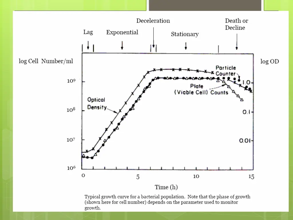 slide4
