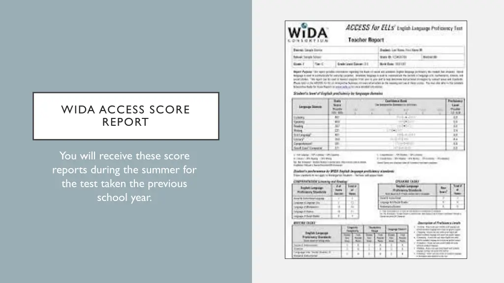 wida access score report