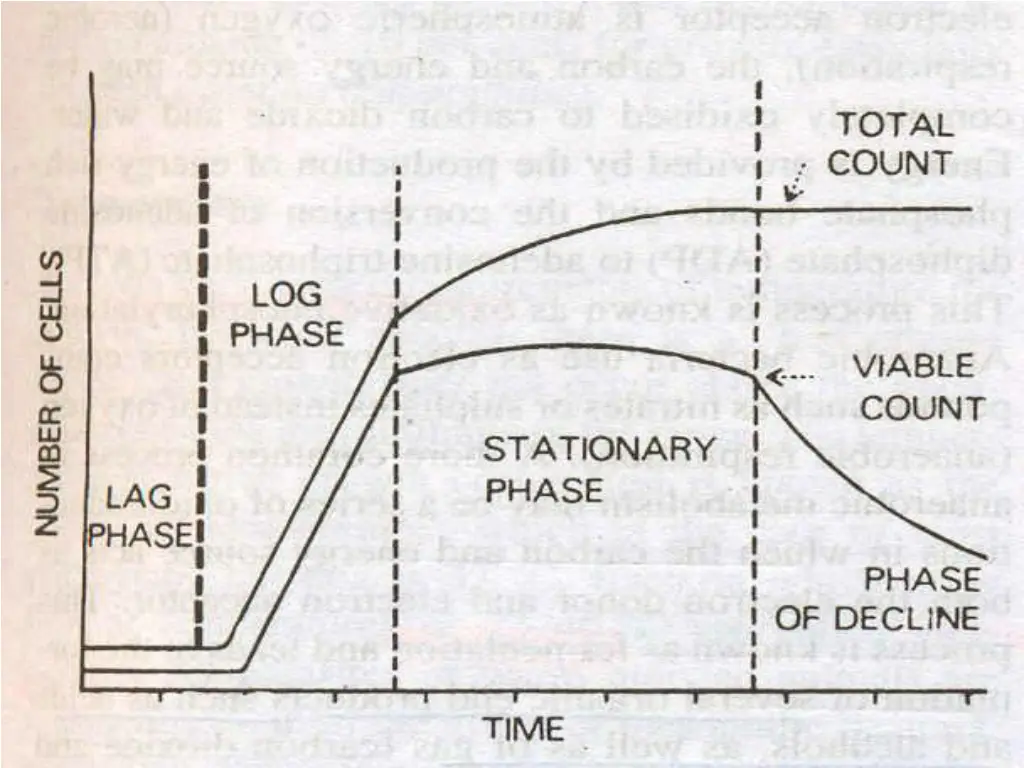 slide37