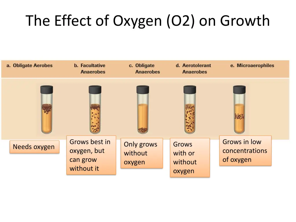 the effect of oxygen o2 on growth