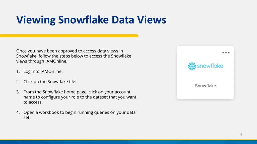viewing snowflake data views