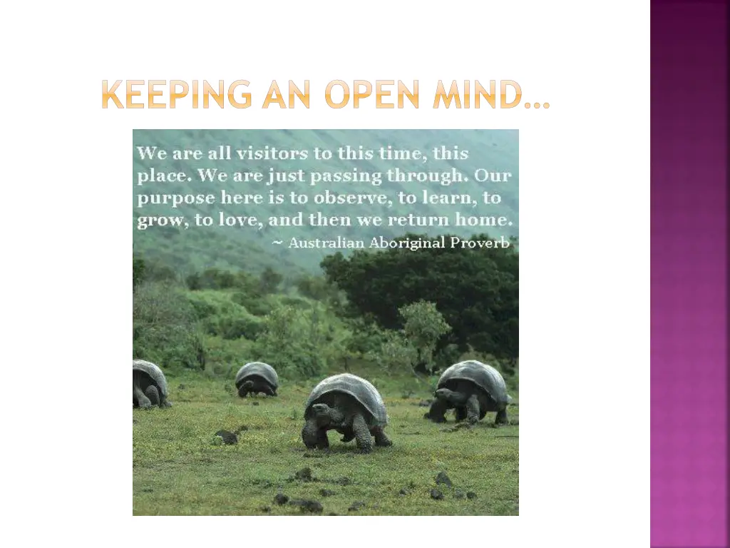 keeping an open mind