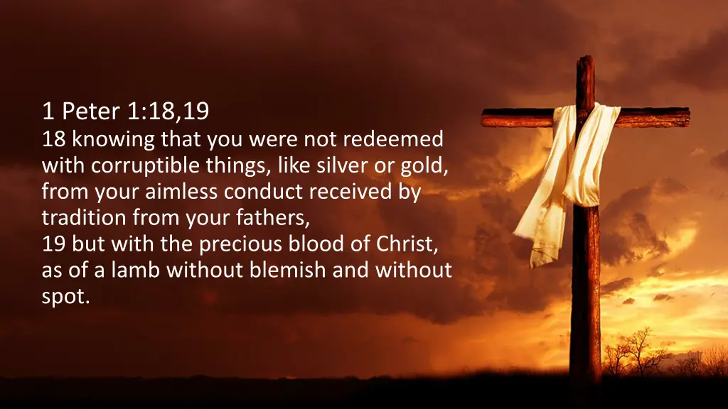1 peter 1 18 19 18 knowing that you were