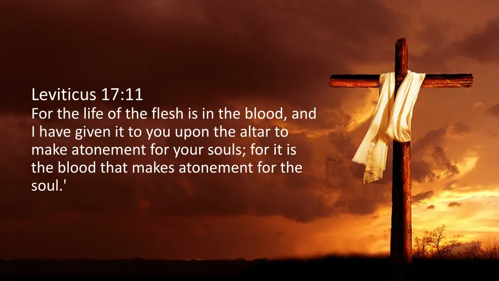 leviticus 17 11 for the life of the flesh