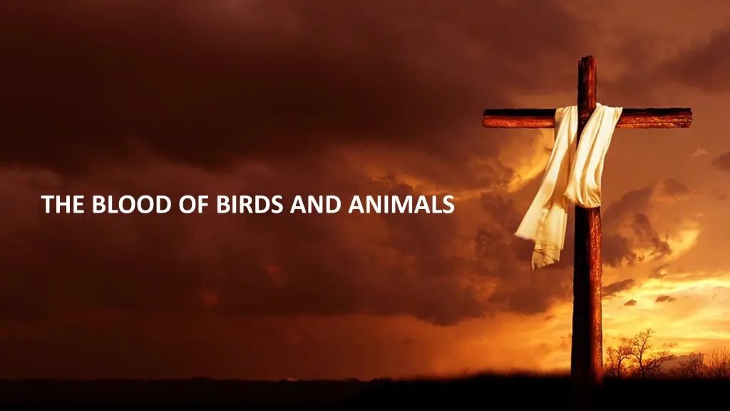 the blood of birds and animals