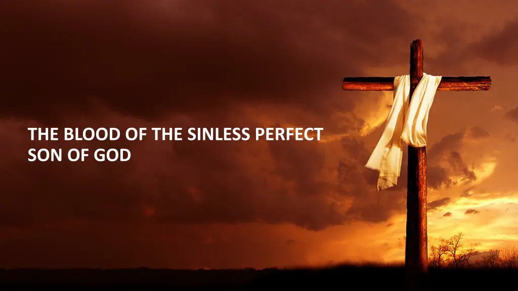 the blood of the sinless perfect son of god
