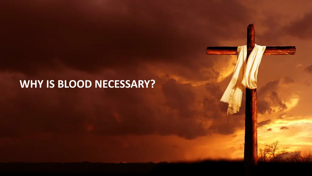 why is blood necessary