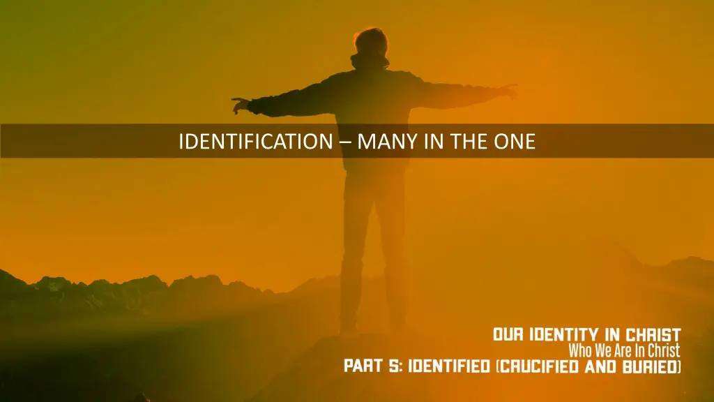 identification many in the one