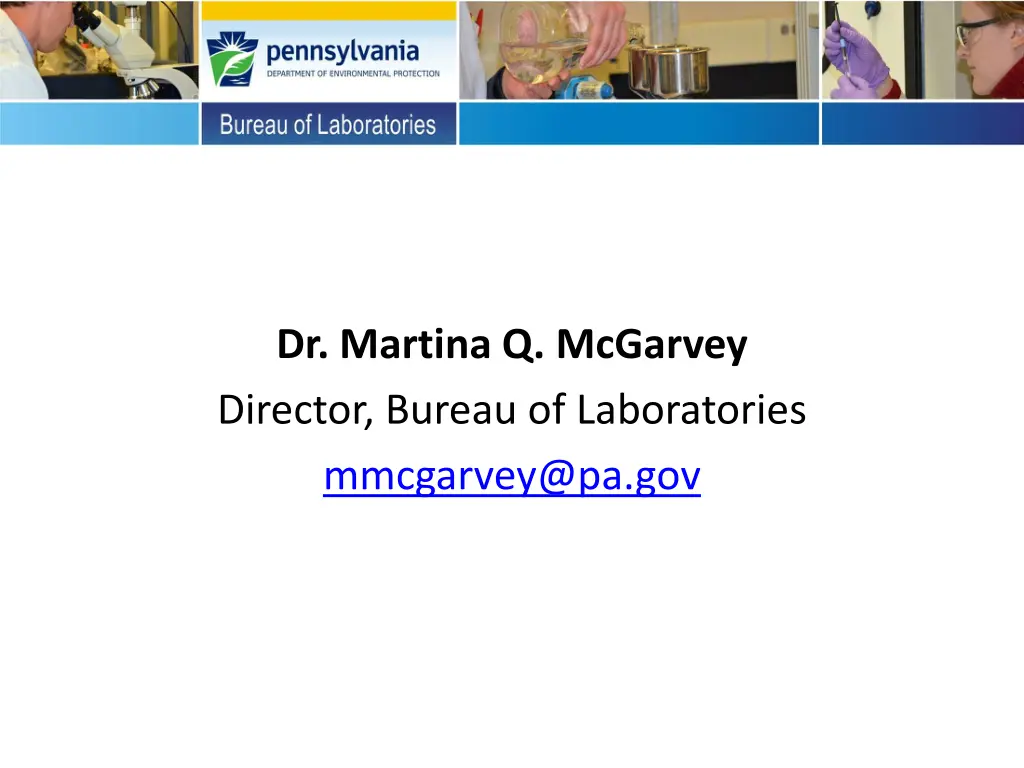 dr martina q mcgarvey director bureau