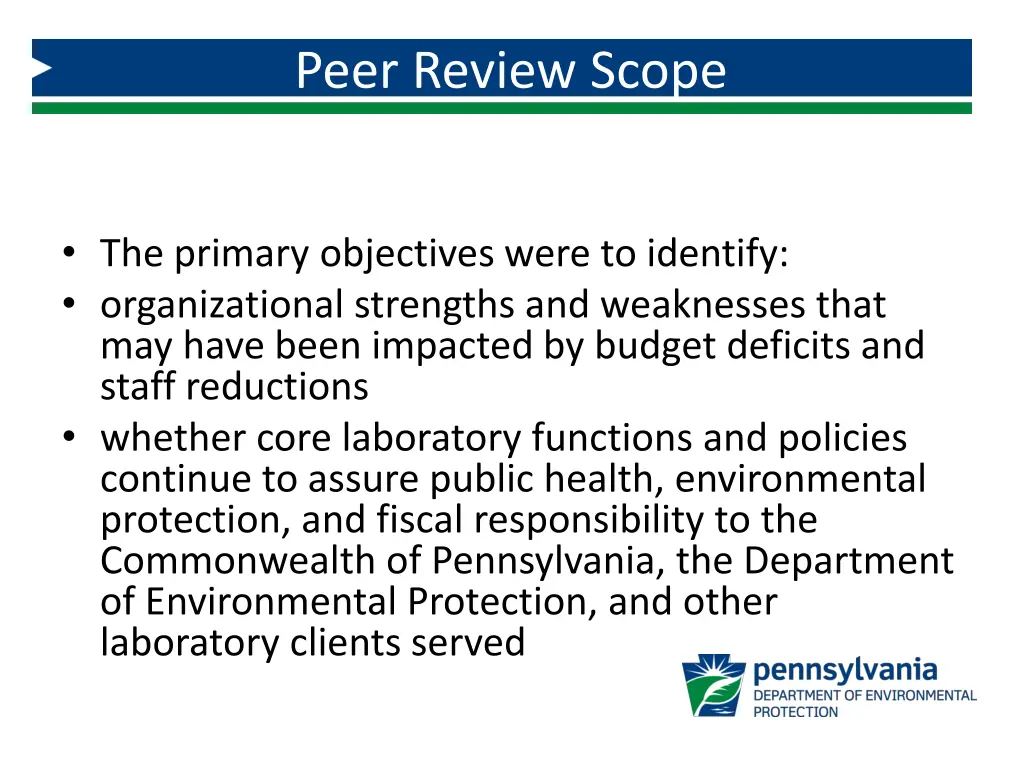 peer review scope