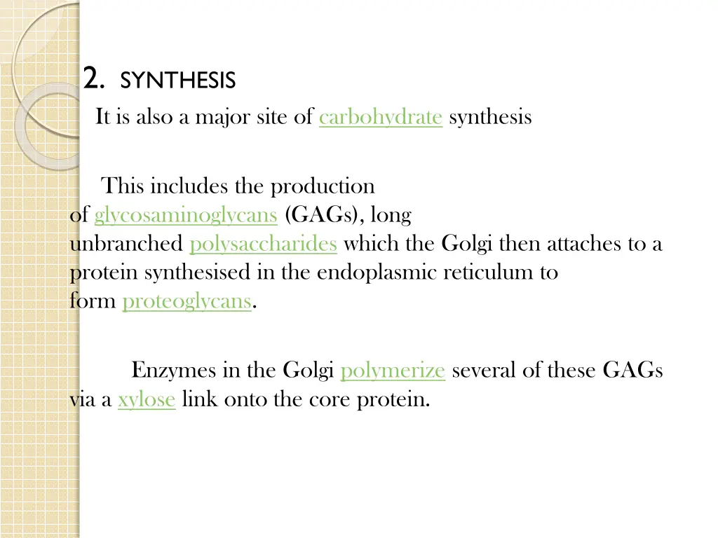 2 synthesis it is also a major site