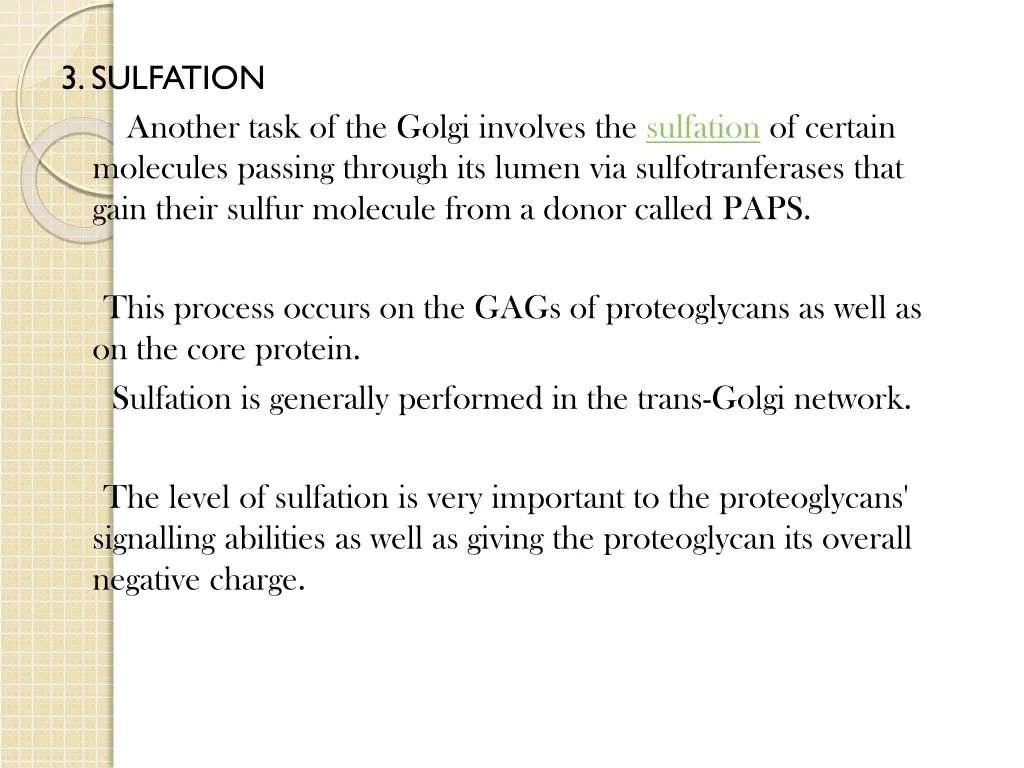 3 sulfation another task of the golgi involves