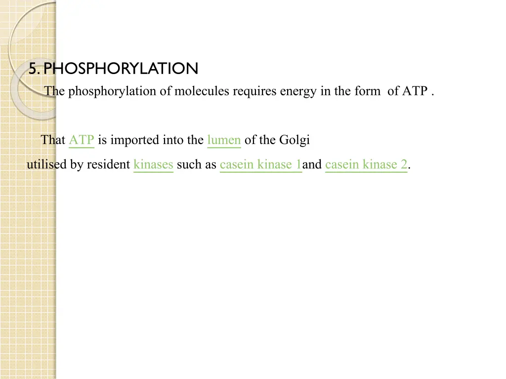 5 phosphorylation the phosphorylation