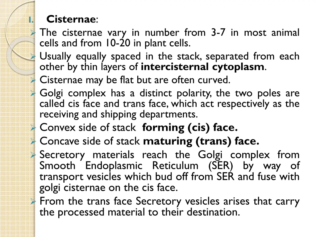 cisternae