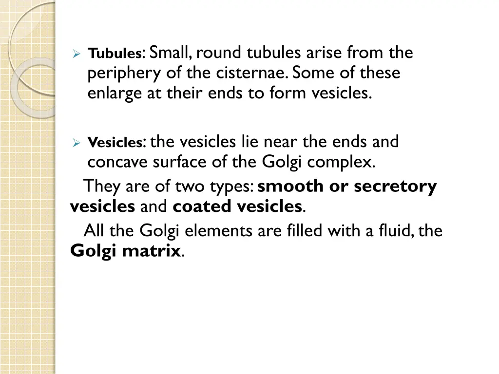 tubules small round tubules arise from