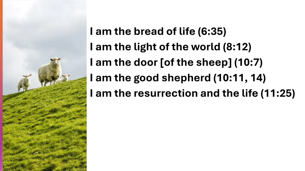 i am the bread of life 6 35 i am the light