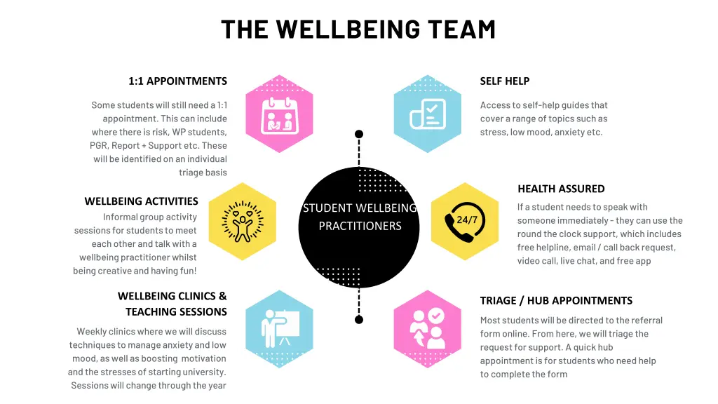the wellbeing team