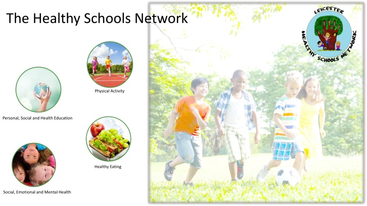 the healthy schools network