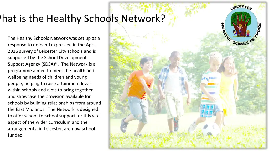 what is the healthy schools network
