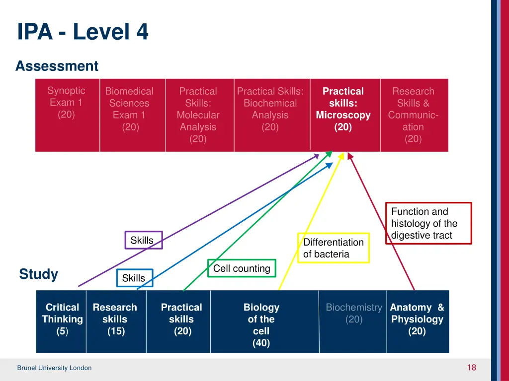 ipa level 4