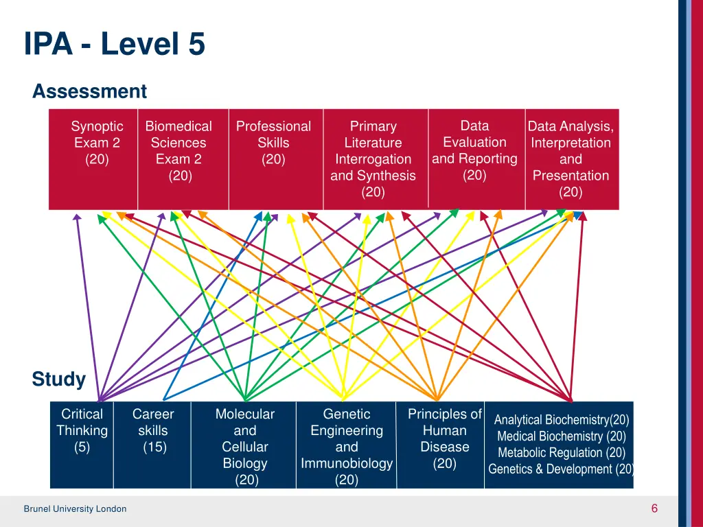 ipa level 5