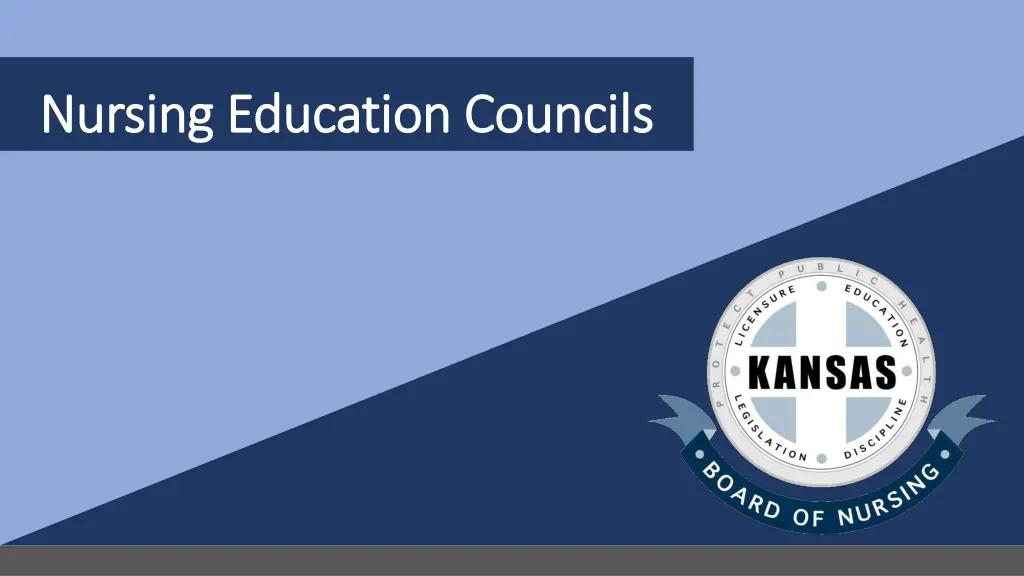 nursing education councils nursing education