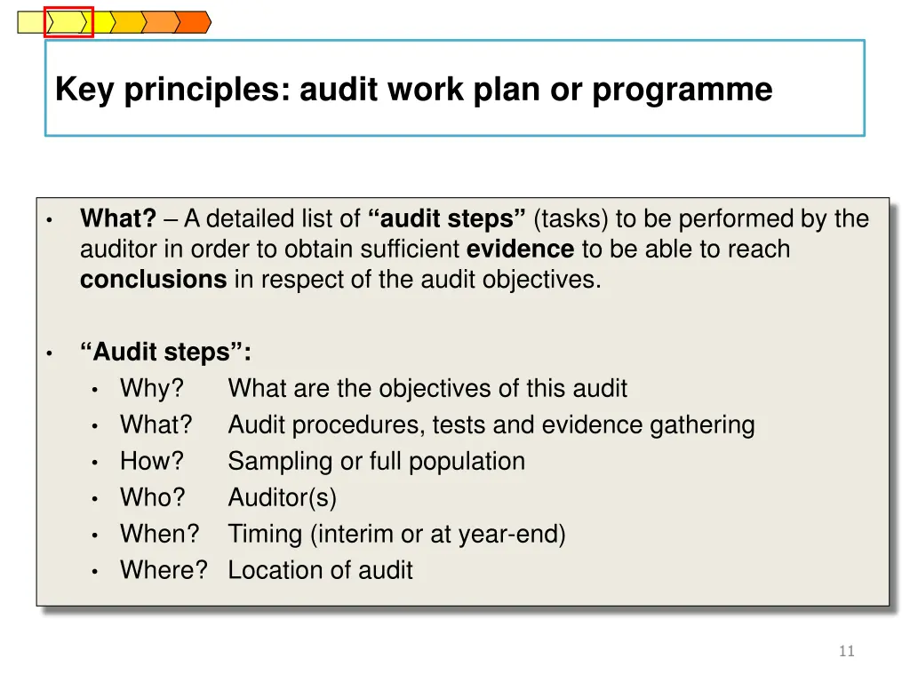 key principles audit work plan or programme