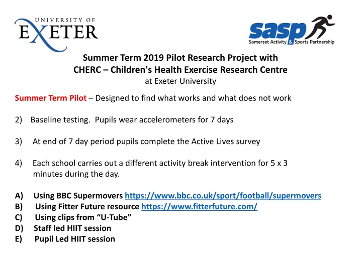 summer term 2019 pilot research project with